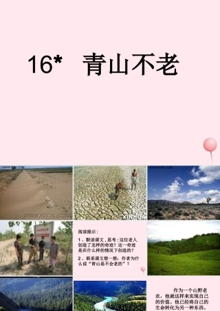 六年级语文上册 第四组 16 青山不老课件1 新人教版-新人教版小学六年级上册语文课件