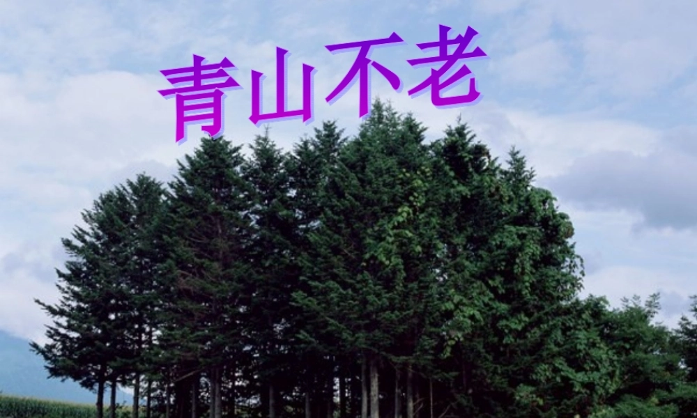 六年级语文上册 第四组 16 青山不老课件3 新人教版-新人教版小学六年级上册语文课件