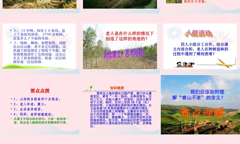 六年级语文上册 第四组 16 青山不老课件3 新人教版-新人教版小学六年级上册语文课件