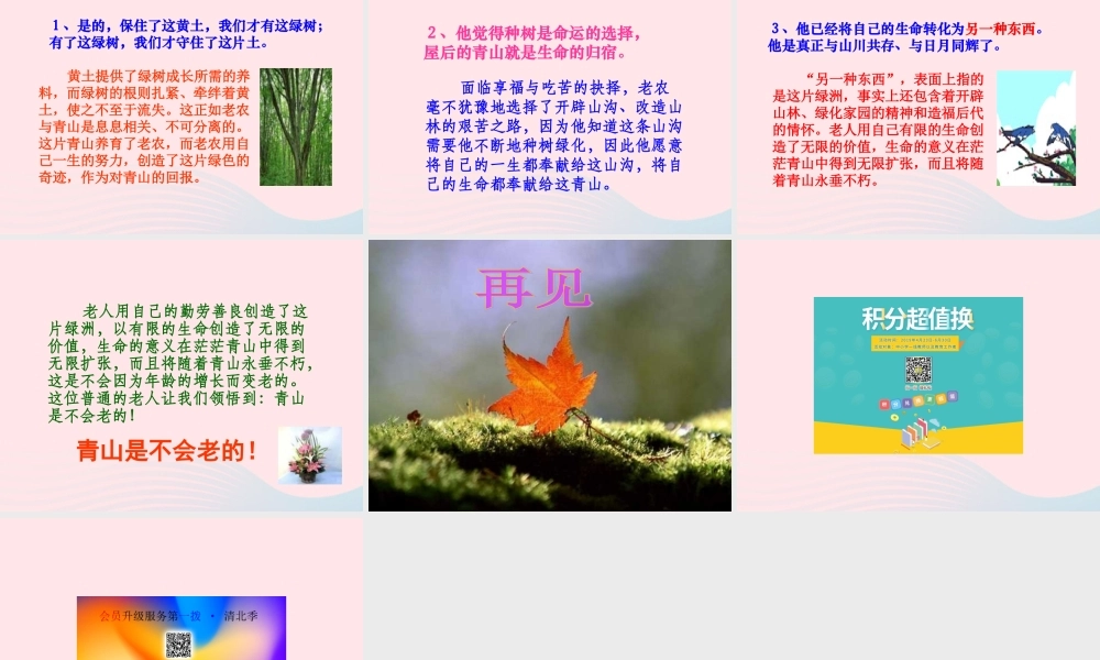 六年级语文上册 第四组 16 青山不老课件3 新人教版-新人教版小学六年级上册语文课件