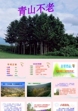 六年级语文上册 第四组 16 青山不老课件3 新人教版-新人教版小学六年级上册语文课件