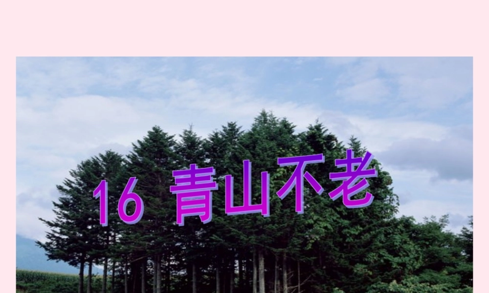 六年级语文上册 第四组 16 青山不老课件4 新人教版-新人教版小学六年级上册语文课件