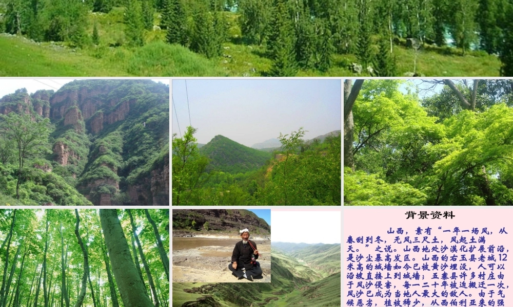 六年级语文上册 第四组 16青山不老课堂教学课件1 新人教版-新人教版小学六年级上册语文课件