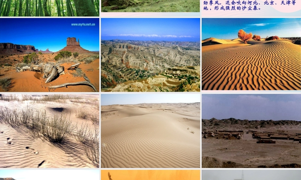 六年级语文上册 第四组 16青山不老课堂教学课件1 新人教版-新人教版小学六年级上册语文课件