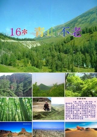 六年级语文上册 第四组 16青山不老课堂教学课件1 新人教版-新人教版小学六年级上册语文课件