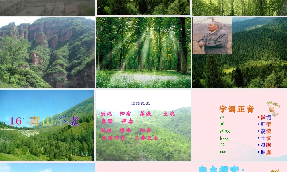六年级语文上册 第四组 16青山不老课堂教学课件2 新人教版-新人教版小学六年级上册语文课件