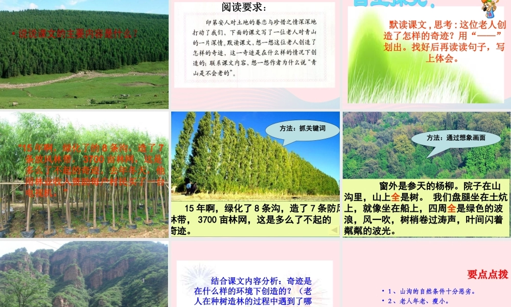 六年级语文上册 第四组 16青山不老课堂教学课件2 新人教版-新人教版小学六年级上册语文课件