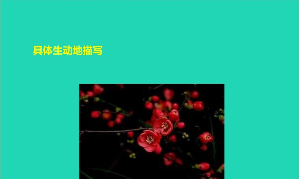 六年级语文上册《我的一张照片》课件3 沪教版-沪教版小学六年级上册语文课件