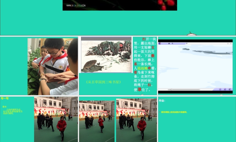 六年级语文上册《我的一张照片》课件3 沪教版-沪教版小学六年级上册语文课件