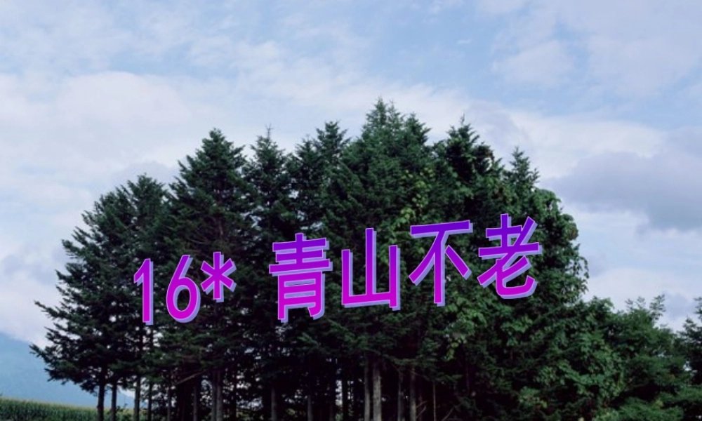 六年级语文上册 第四组 16青山不老课堂教学课件3 新人教版-新人教版小学六年级上册语文课件