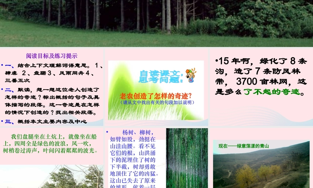 六年级语文上册 第四组 16青山不老课堂教学课件3 新人教版-新人教版小学六年级上册语文课件