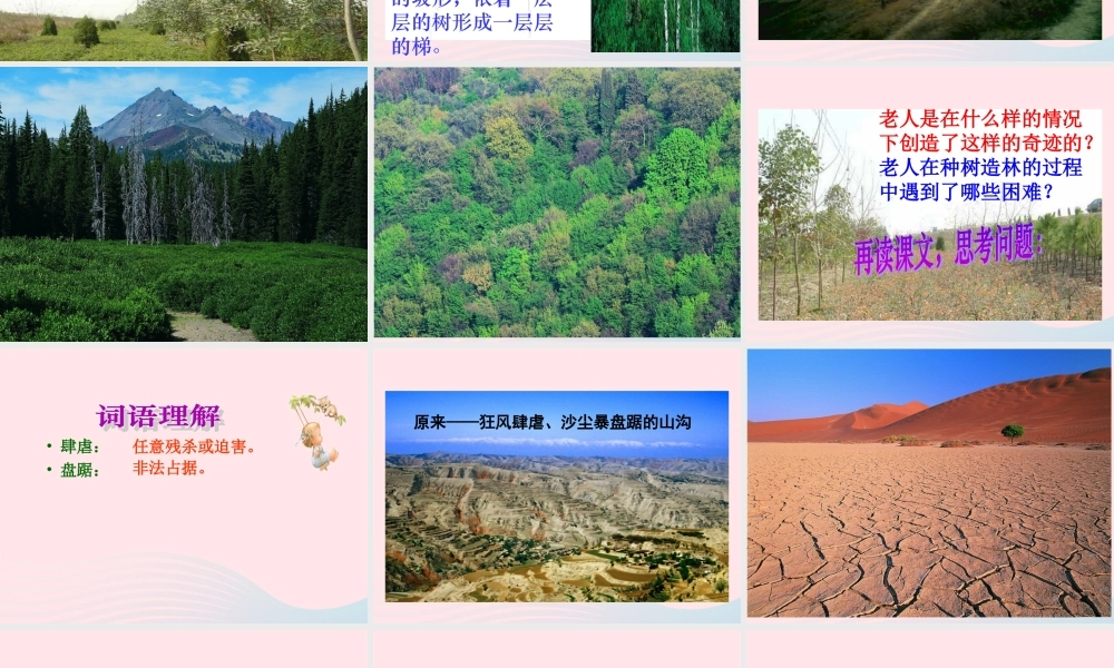 六年级语文上册 第四组 16青山不老课堂教学课件3 新人教版-新人教版小学六年级上册语文课件