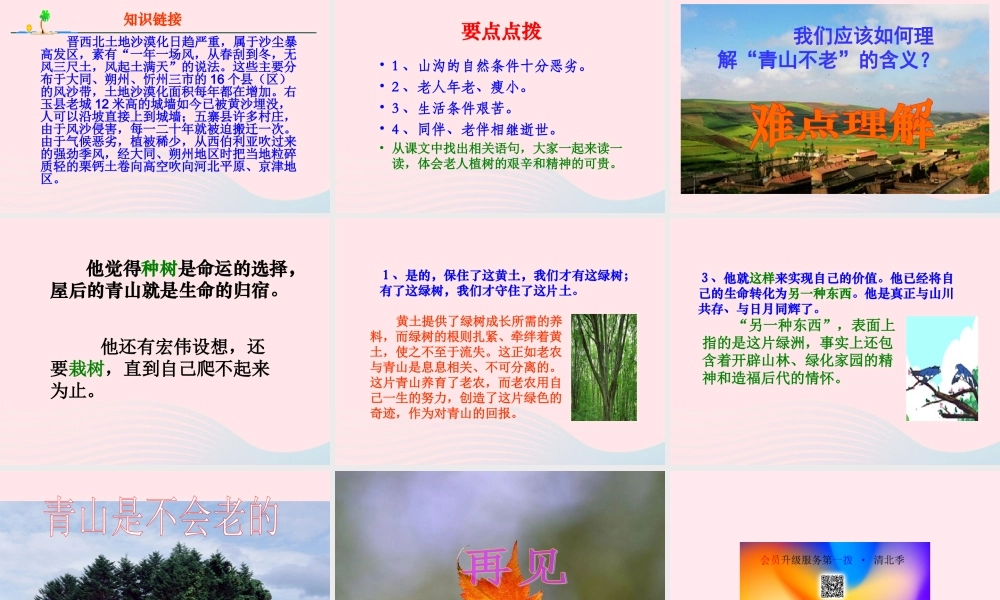 六年级语文上册 第四组 16青山不老课堂教学课件3 新人教版-新人教版小学六年级上册语文课件