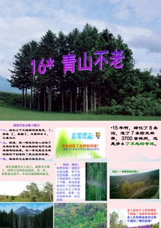 六年级语文上册 第四组 16青山不老课堂教学课件3 新人教版-新人教版小学六年级上册语文课件