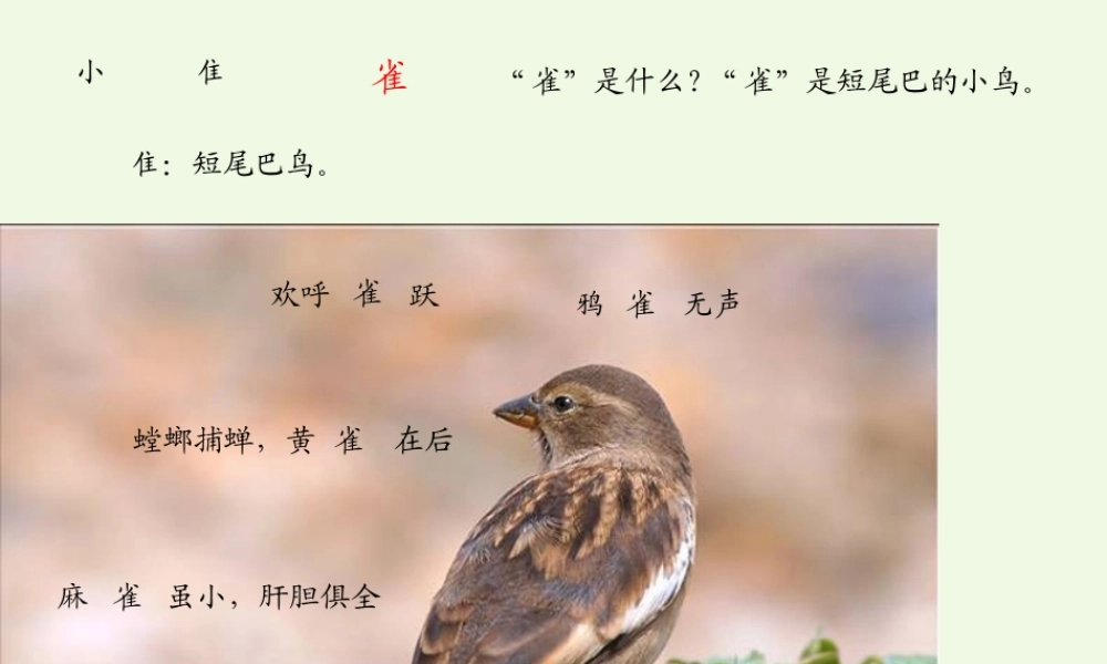 六年级语文上册 隔窗看雀课件1 湘教版-湘教版小学六年级上册语文课件