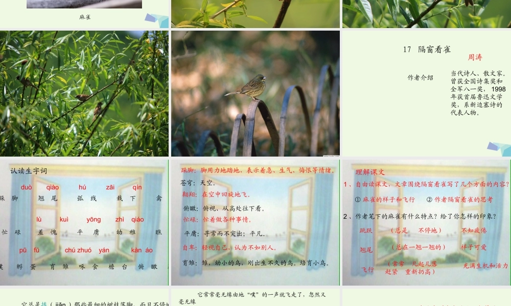 六年级语文上册 隔窗看雀课件1 湘教版-湘教版小学六年级上册语文课件