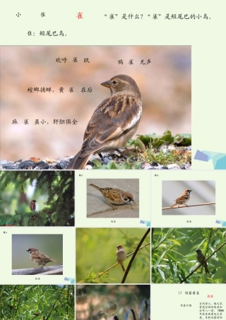 六年级语文上册 隔窗看雀课件1 湘教版-湘教版小学六年级上册语文课件