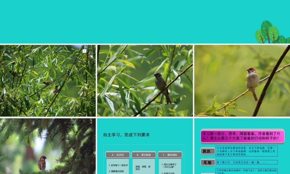 六年级语文上册 隔窗看雀课件2 湘教版-湘教版小学六年级上册语文课件