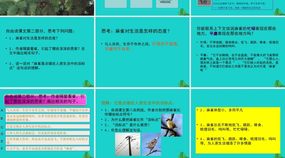 六年级语文上册 隔窗看雀课件2 湘教版-湘教版小学六年级上册语文课件