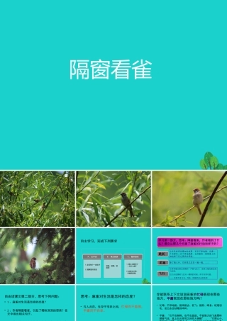 六年级语文上册 隔窗看雀课件2 湘教版-湘教版小学六年级上册语文课件