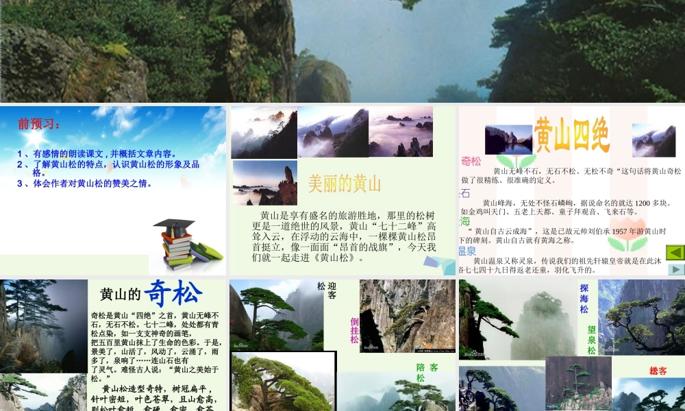 六年级语文上册 黄山松课件1 湘教版-湘教版小学六年级上册语文课件