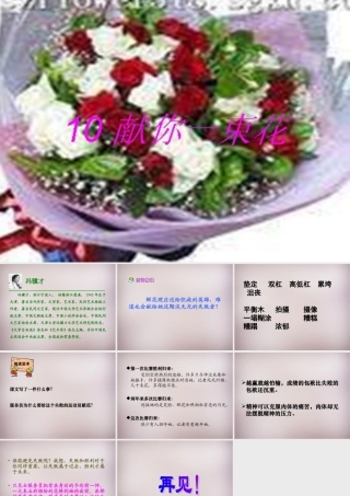 六年级语文上册《献你一束花》课件2 语文A版-语文A版小学六年级上册语文课件