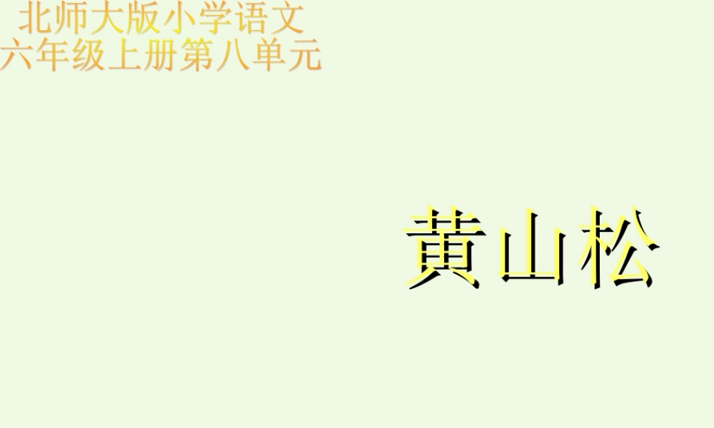 六年级语文上册 黄山松课件2 湘教版-湘教版小学六年级上册语文课件