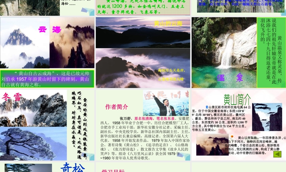 六年级语文上册 黄山松课件2 湘教版-湘教版小学六年级上册语文课件