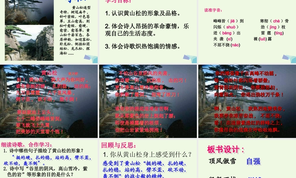 六年级语文上册 黄山松课件2 湘教版-湘教版小学六年级上册语文课件