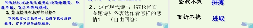 六年级语文上册 黄山松课件2 湘教版-湘教版小学六年级上册语文课件