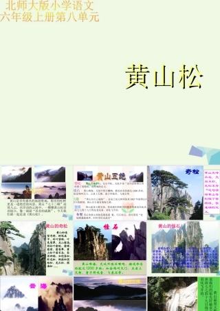 六年级语文上册 黄山松课件2 湘教版-湘教版小学六年级上册语文课件
