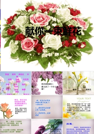 六年级语文上册《献你一束花》课件3 语文A版-语文A版小学六年级上册语文课件