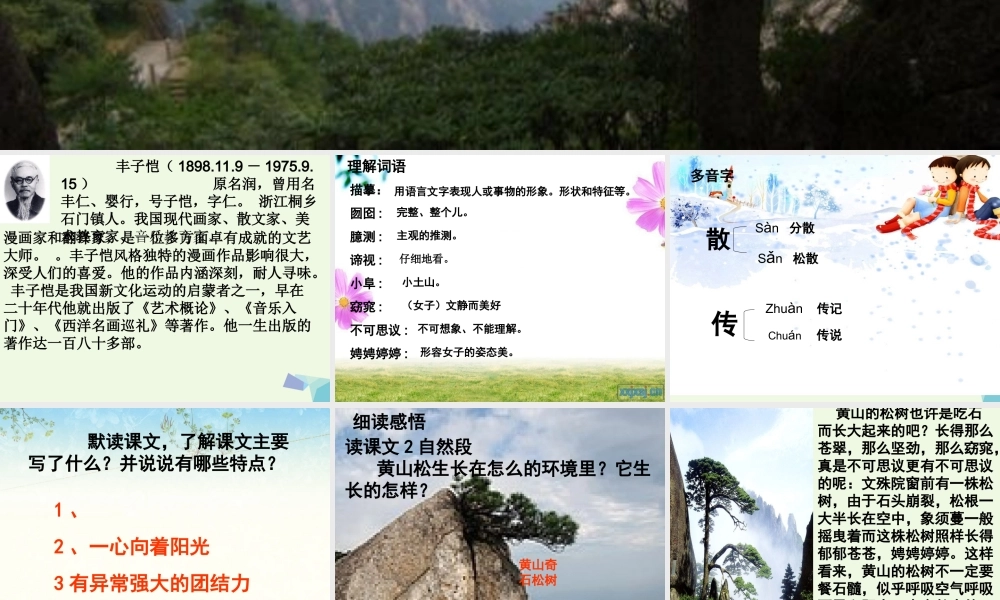 六年级语文上册 黄山松课件3 湘教版-湘教版小学六年级上册语文课件