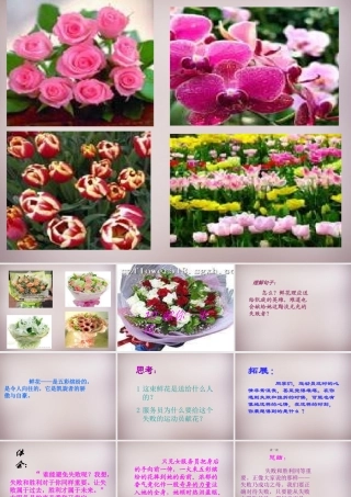 六年级语文上册《献你一束花》课件4 语文A版-语文A版小学六年级上册语文课件