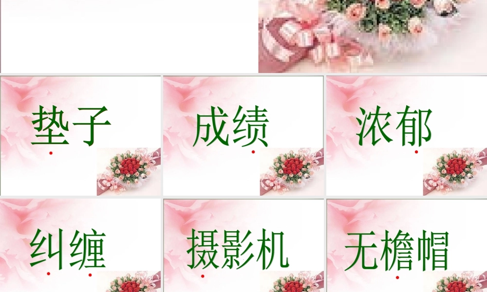 六年级语文上册《献你一束花》课件5 语文A版-语文A版小学六年级上册语文课件