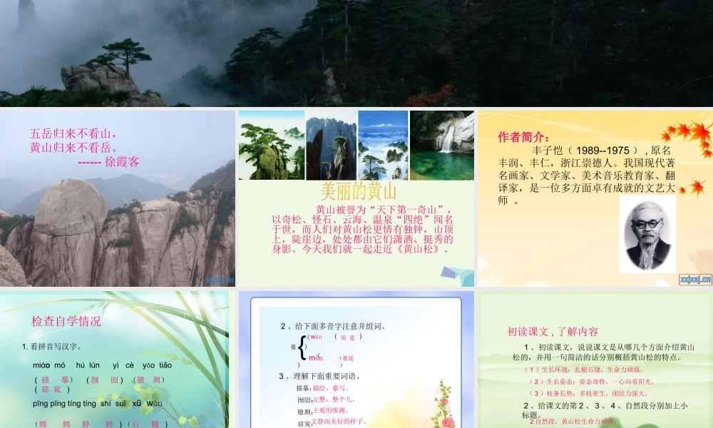 六年级语文上册 黄山松课件4 湘教版-湘教版小学六年级上册语文课件