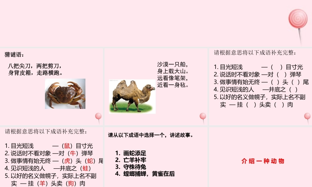 六年级语文上册《向你介绍我的动物朋友》课件 沪教版-沪教版小学六年级上册语文课件