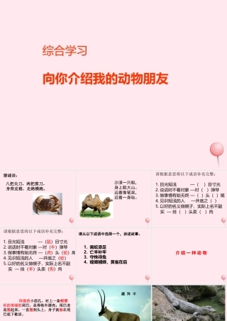 六年级语文上册《向你介绍我的动物朋友》课件 沪教版-沪教版小学六年级上册语文课件