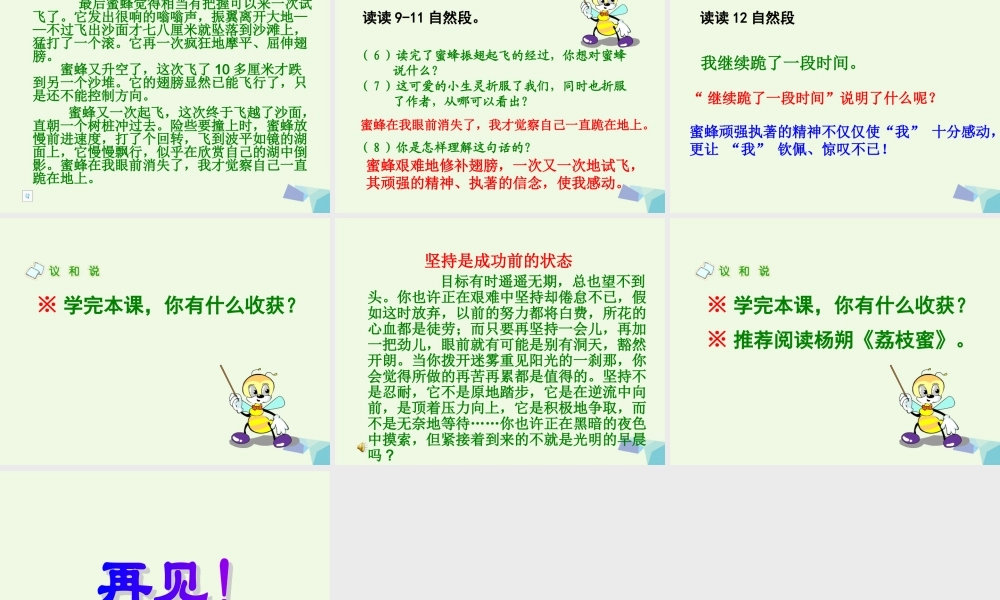 六年级语文上册 蜜蜂课件2 湘教版-湘教版小学六年级上册语文课件