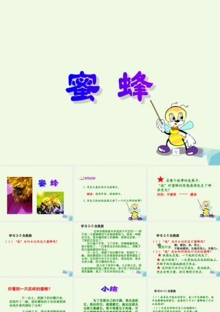 六年级语文上册 蜜蜂课件2 湘教版-湘教版小学六年级上册语文课件