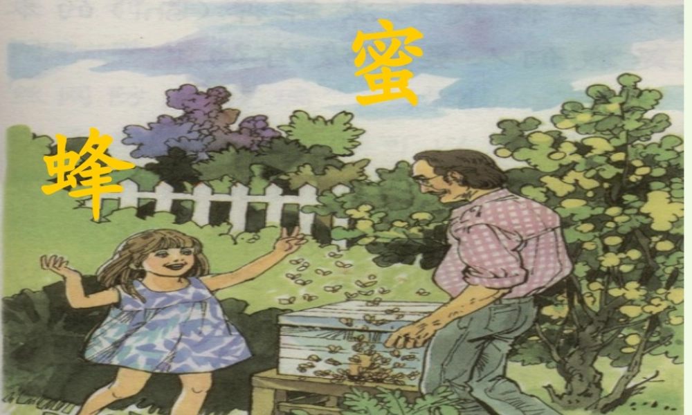 六年级语文上册 蜜蜂课件3 湘教版-湘教版小学六年级上册语文课件