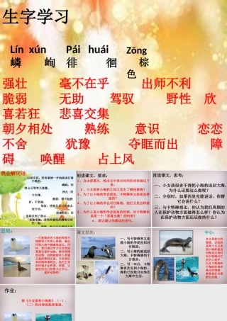 六年级语文上册《小女孩儿和小海豹（二）》课件1 语文A版-语文A版小学六年级上册语文课件