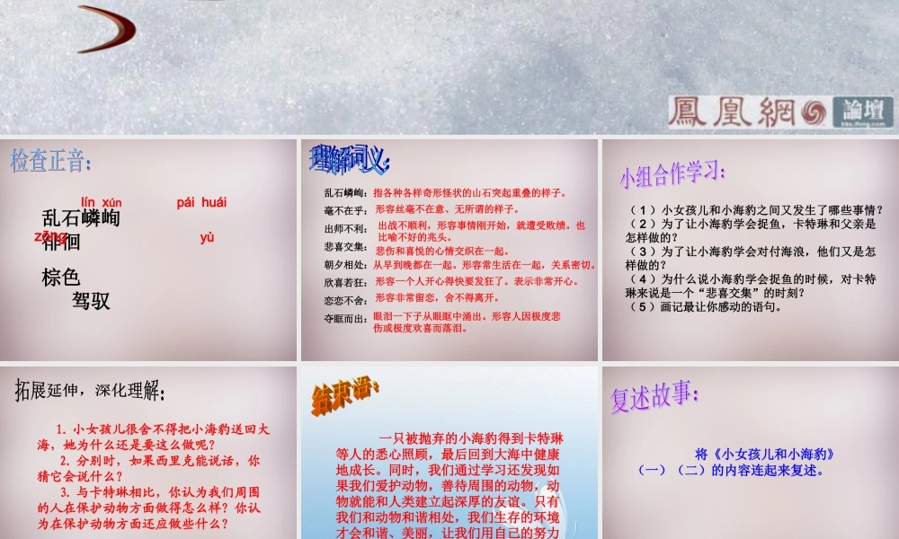 六年级语文上册《小女孩儿和小海豹（二）》课件2 语文A版-语文A版小学六年级上册语文课件