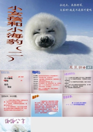六年级语文上册《小女孩儿和小海豹（二）》课件2 语文A版-语文A版小学六年级上册语文课件