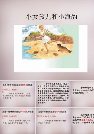六年级语文上册《小女孩儿和小海豹（一）》课件 语文A版-语文A版小学六年级上册语文课件