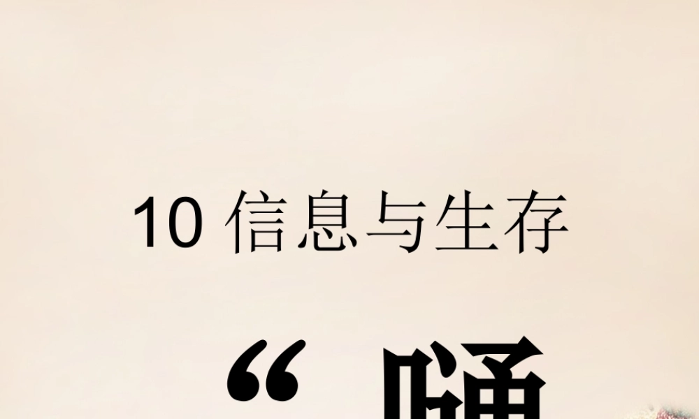 六年级语文上册《“嗵嗵”》课件1 长春版-长春版小学六年级上册语文课件