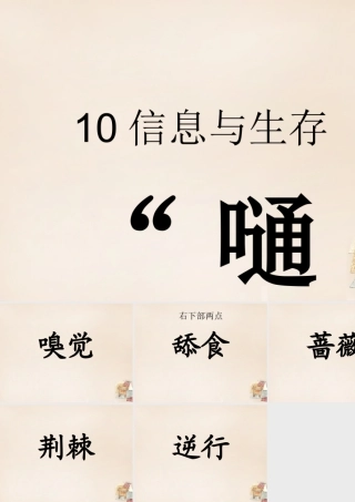 六年级语文上册《“嗵嗵”》课件1 长春版-长春版小学六年级上册语文课件