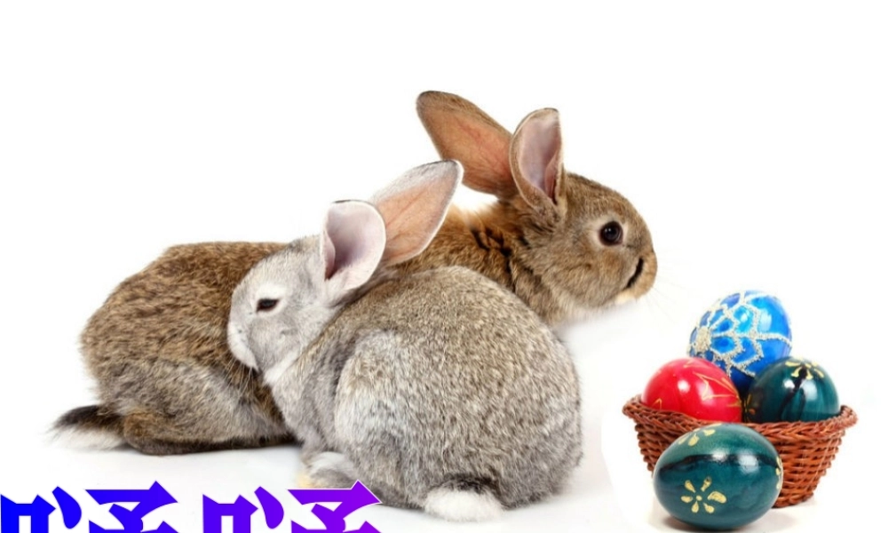 六年级语文上册《“嗵嗵”》课件3 长春版-长春版小学六年级上册语文课件