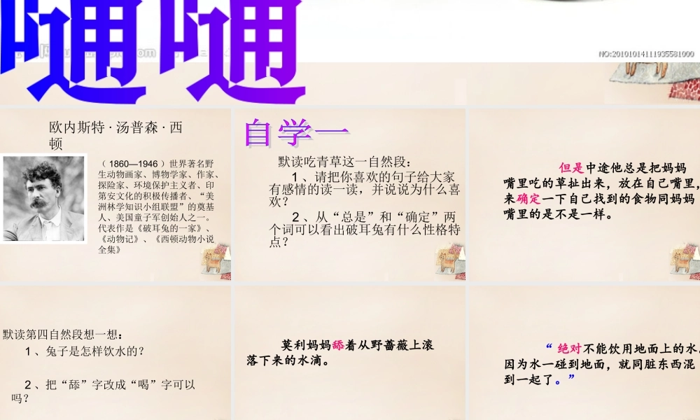 六年级语文上册《“嗵嗵”》课件3 长春版-长春版小学六年级上册语文课件