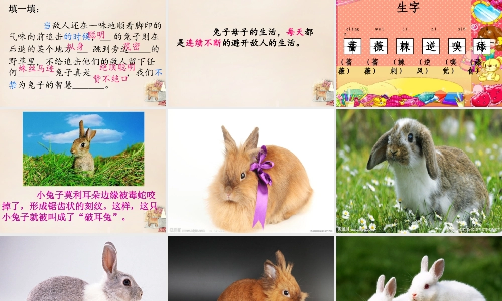 六年级语文上册《“嗵嗵”》课件3 长春版-长春版小学六年级上册语文课件